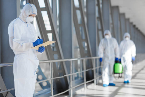 Rock Hall, MD Mold Removal Company