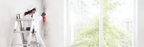 Best Mold Removal for HVAC Installations  in Rock Hall, MD